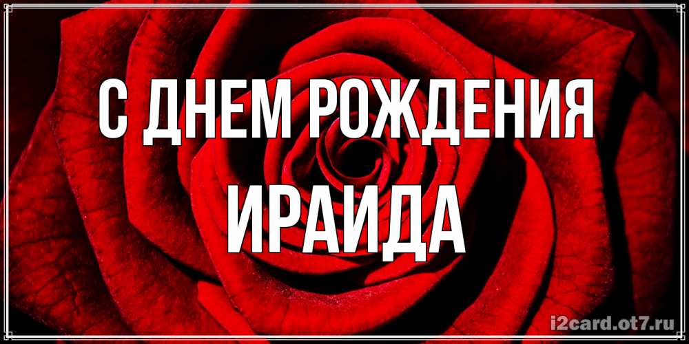 Открытка на каждый день с именем, Ираида С днем рождения алая роза Прикольная открытка с пожеланием онлайн скачать бесплатно 