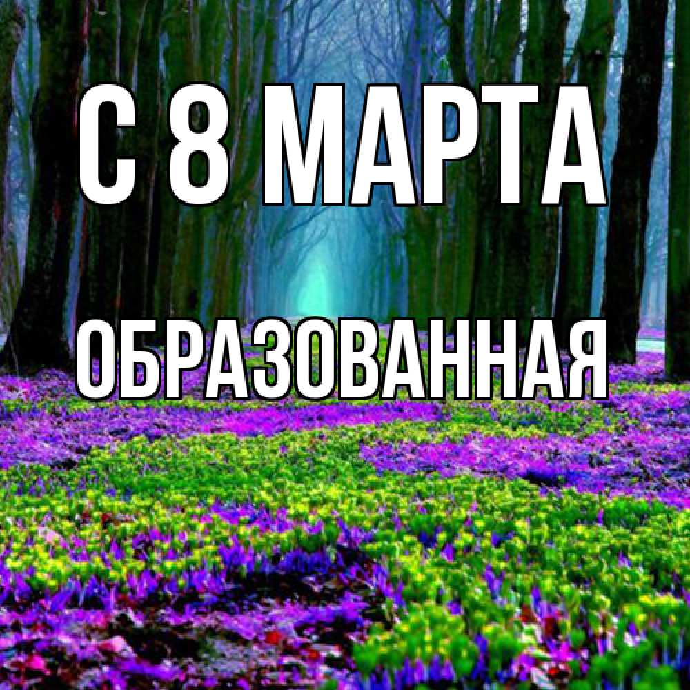 Открытка на каждый день с именем, Образованная C 8 МАРТА фиолетовые цветы в лесу 1 Прикольная открытка с пожеланием онлайн скачать бесплатно 