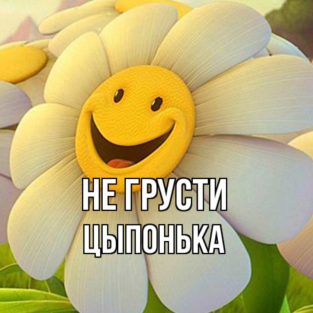 Открытка на каждый день с именем, Цыпонька Не грусти огромная улыбающаяся ромашуща Прикольная открытка с пожеланием онлайн скачать бесплатно 