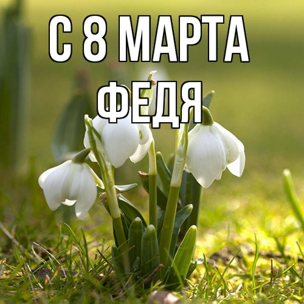Открытка на каждый день с именем, Федя C 8 МАРТА ранние цветы 2 Прикольная открытка с пожеланием онлайн скачать бесплатно 