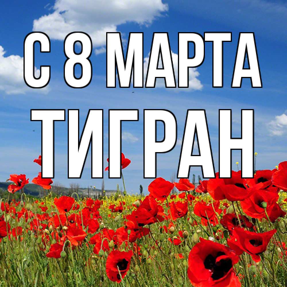 Открытка на каждый день с именем, Тигран C 8 МАРТА международный женский день 1 Прикольная открытка с пожеланием онлайн скачать бесплатно 