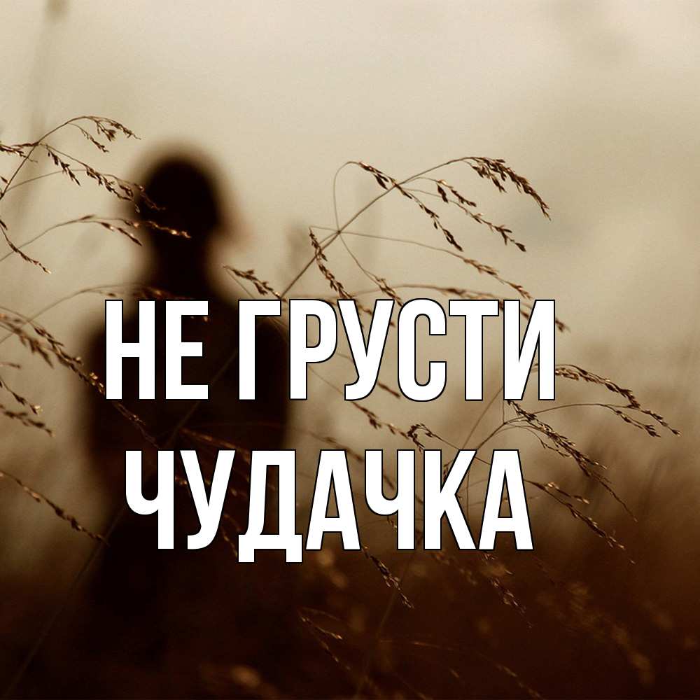 Открытка на каждый день с именем, Чудачка Не грусти грусть Прикольная открытка с пожеланием онлайн скачать бесплатно 