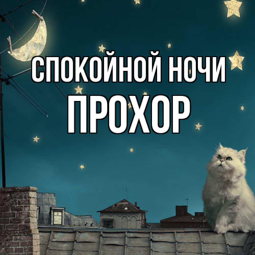 Открытка на каждый день с именем, Прохор Спокойной ночи белый кот сидит на крыше Прикольная открытка с пожеланием онлайн скачать бесплатно 