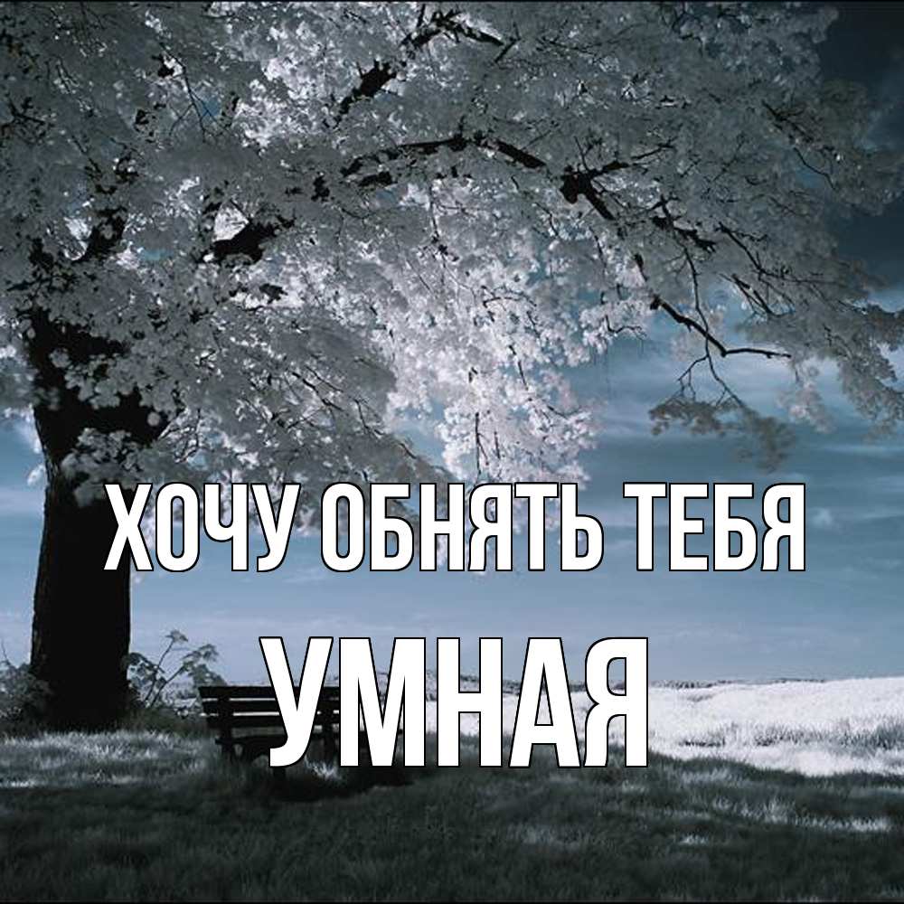 Открытка на каждый день с именем, Умная Хочу обнять тебя дерево Прикольная открытка с пожеланием онлайн скачать бесплатно 