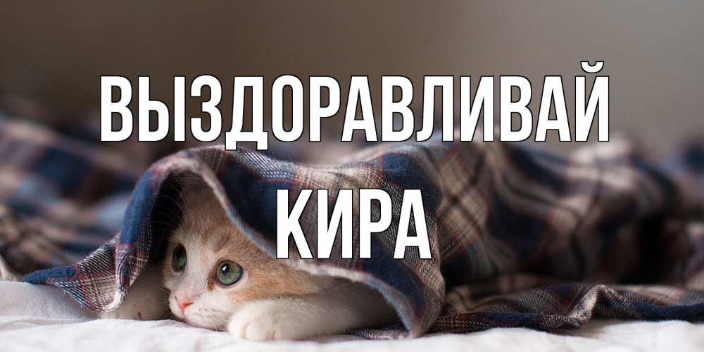 Открытка на каждый день с именем, Кира Выздоравливай не болейте с котиком Прикольная открытка с пожеланием онлайн скачать бесплатно 