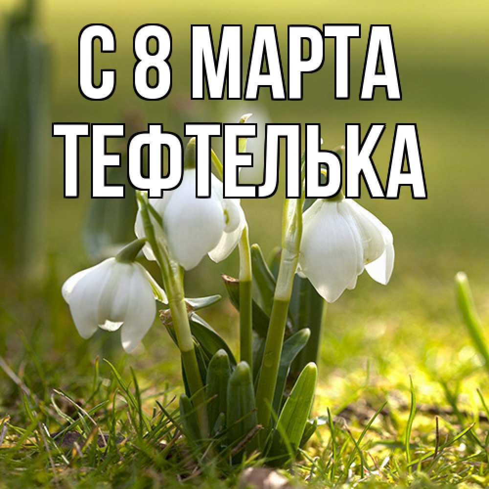 Открытка на каждый день с именем, тефтелька C 8 МАРТА ранние цветы 2 Прикольная открытка с пожеланием онлайн скачать бесплатно 