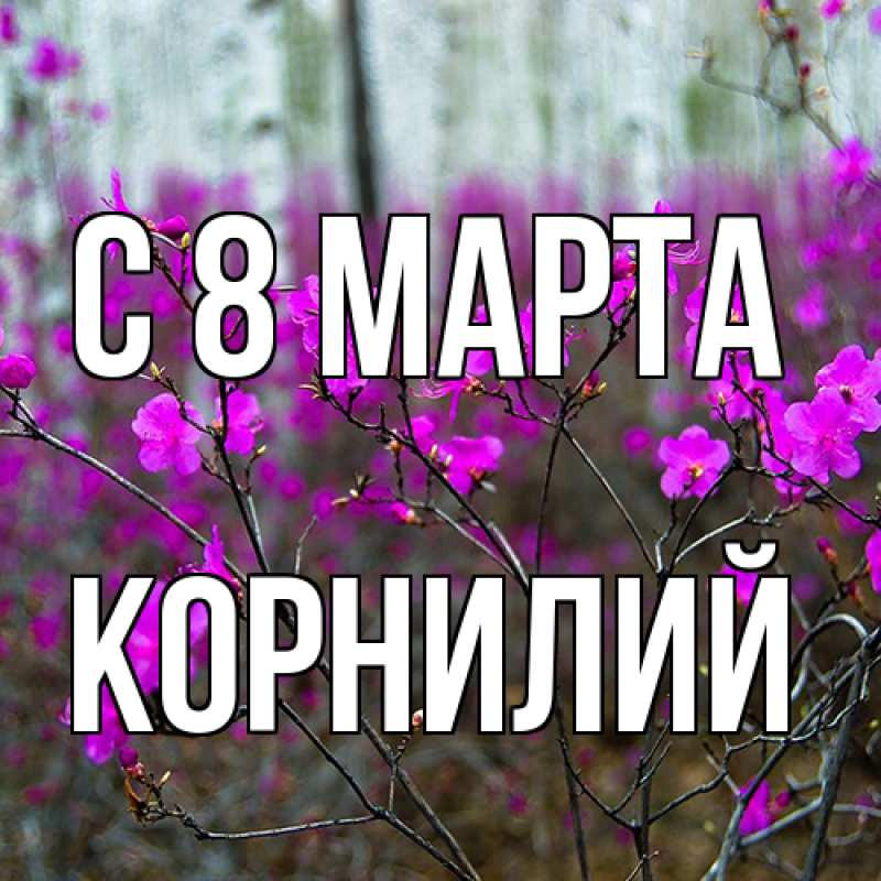 Картинка C 8 МАРТА, Корнилий