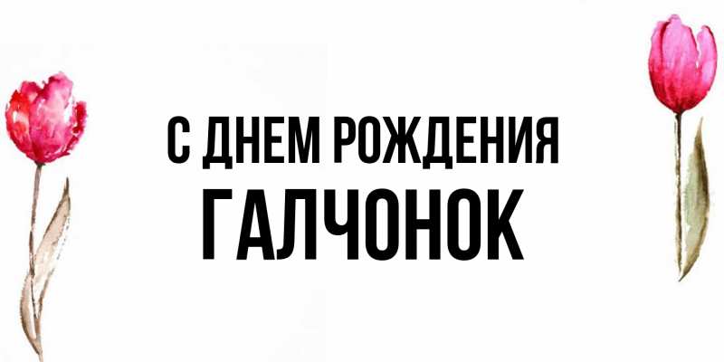 Картинка С днем рождения, галчонок
