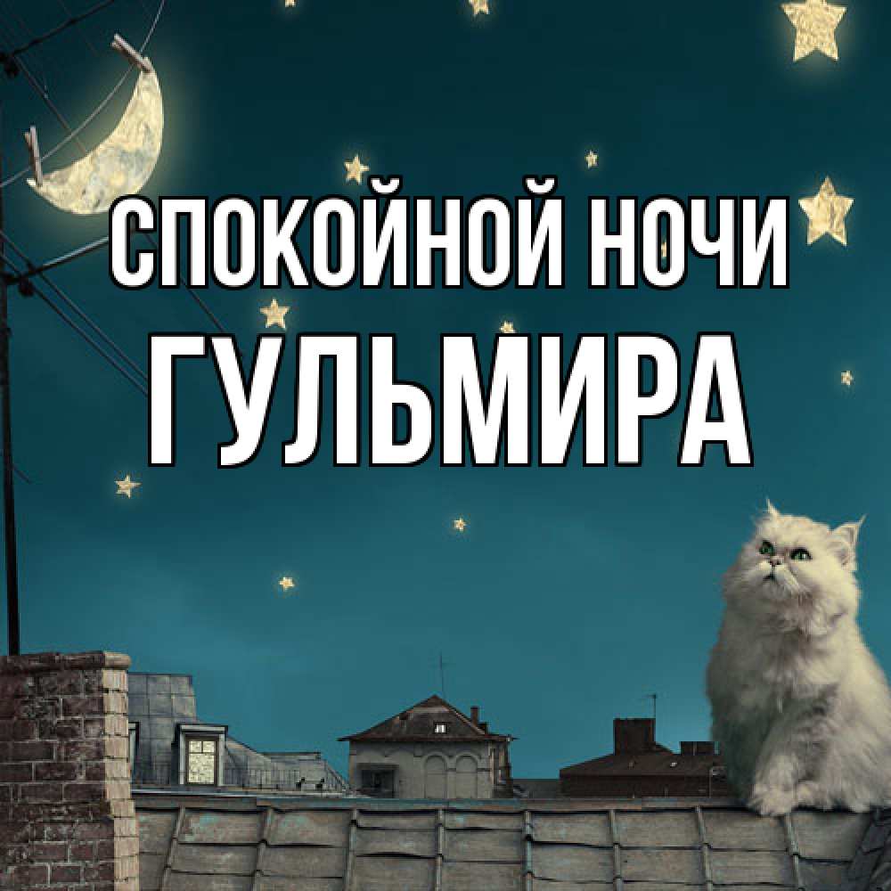 Открытка на каждый день с именем, Гульмира Спокойной ночи белый кот сидит на крыше Прикольная открытка с пожеланием онлайн скачать бесплатно 