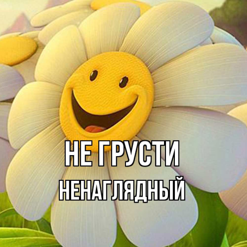 Открытка на каждый день с именем, Ненаглядный Не грусти огромная улыбающаяся ромашуща Прикольная открытка с пожеланием онлайн скачать бесплатно 