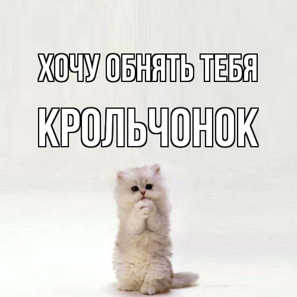 Открытка на каждый день с именем, Крольчонок Хочу обнять тебя открытки с креативными подписями Прикольная открытка с пожеланием онлайн скачать бесплатно 