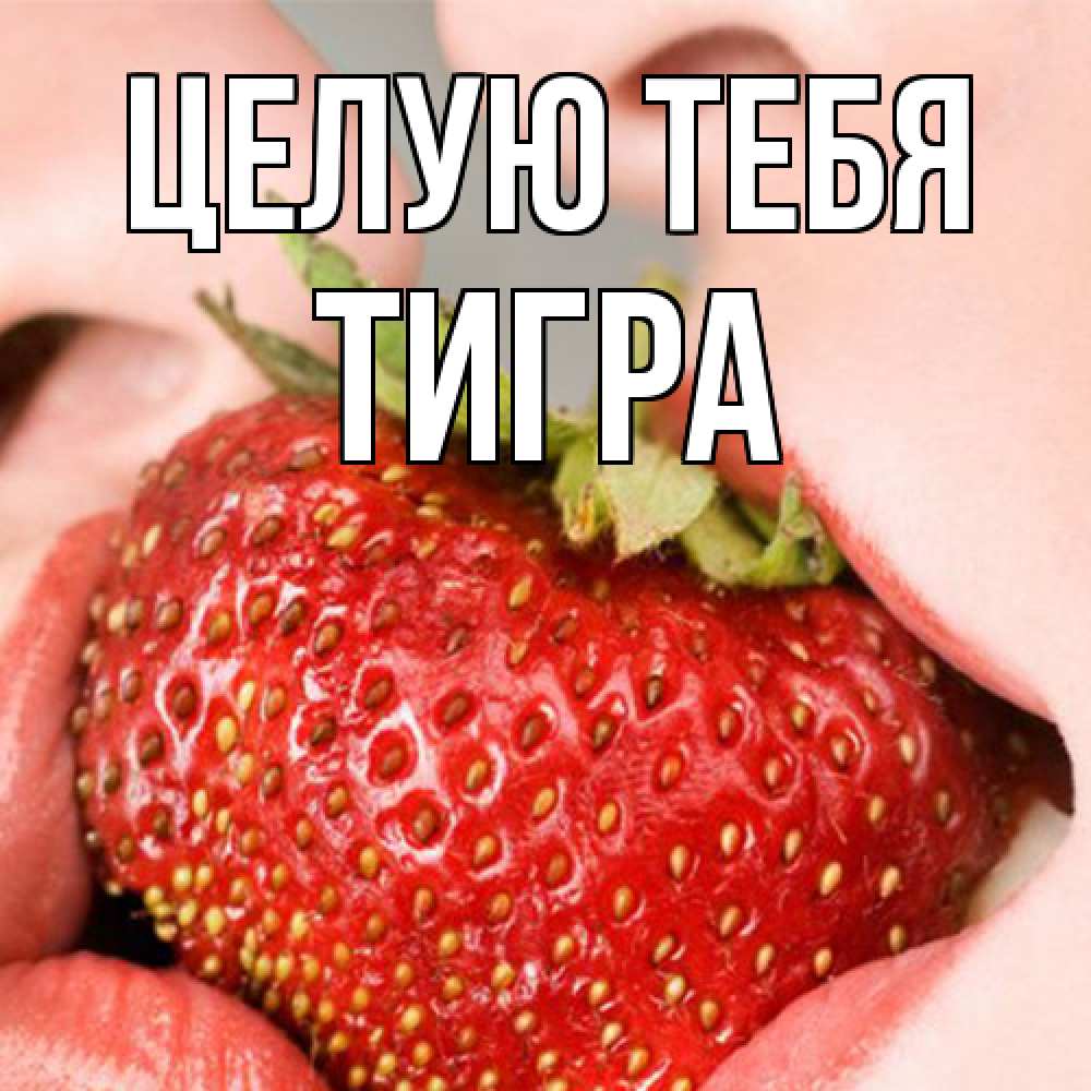 Открытка на каждый день с именем, Тигра Целую тебя поцелуйчик Прикольная открытка с пожеланием онлайн скачать бесплатно 
