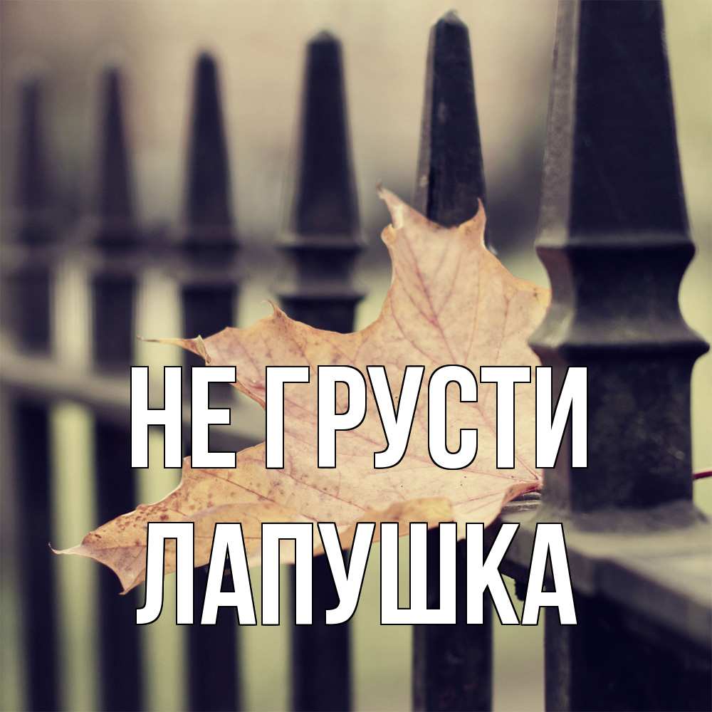 Открытка на каждый день с именем, лапушка Не грусти лист клена Прикольная открытка с пожеланием онлайн скачать бесплатно 