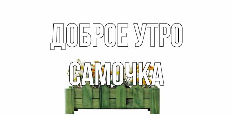 Картинка Доброе утро, Самочка