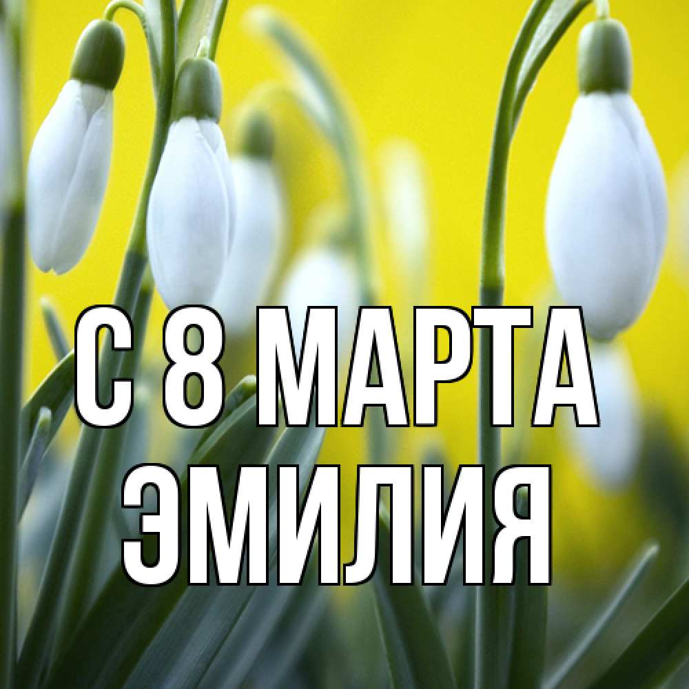 Открытка на каждый день с именем, Эмилия C 8 МАРТА весенние цветы Прикольная открытка с пожеланием онлайн скачать бесплатно 