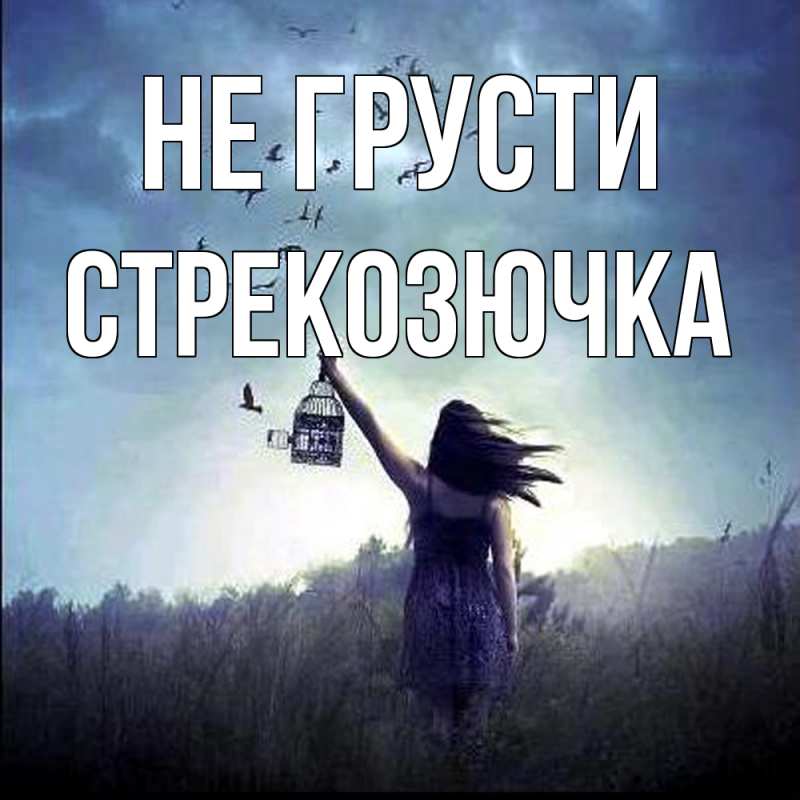 Открытка с именем, Стрекозючка, Не грусти