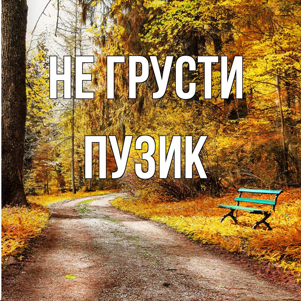 Открытка на каждый день с именем, Пузик Не грусти зеленая лавочка Прикольная открытка с пожеланием онлайн скачать бесплатно 