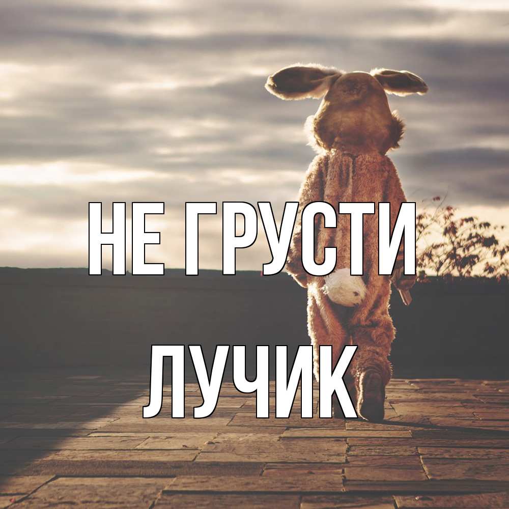 Открытка на каждый день с именем, Лучик Не грусти со спины Прикольная открытка с пожеланием онлайн скачать бесплатно 