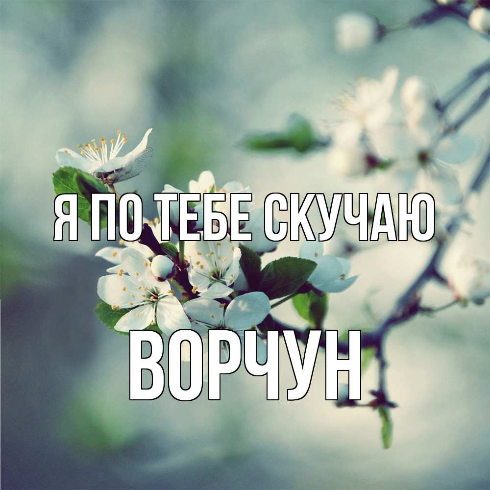 Открытка на каждый день с именем, Ворчун Я по тебе скучаю весна Прикольная открытка с пожеланием онлайн скачать бесплатно 