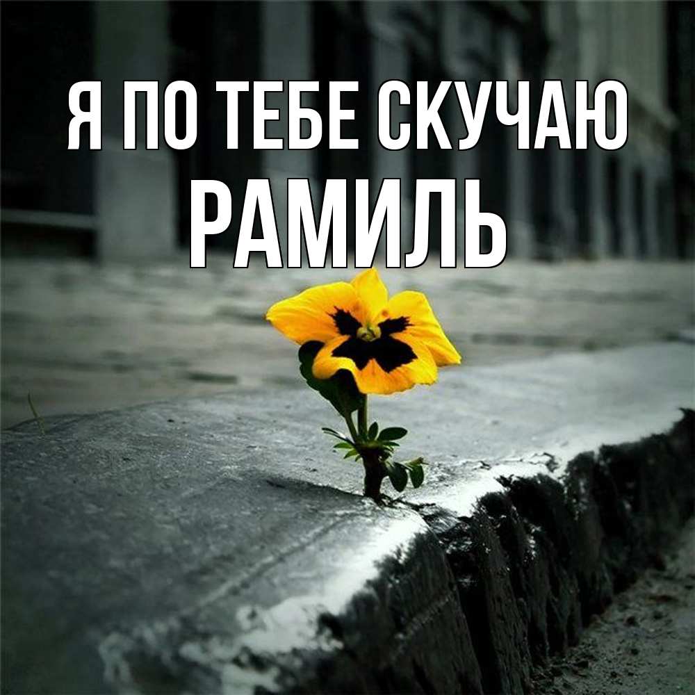 Открытка на каждый день с именем, Рамиль Я по тебе скучаю надеюсь будет лучше Прикольная открытка с пожеланием онлайн скачать бесплатно 