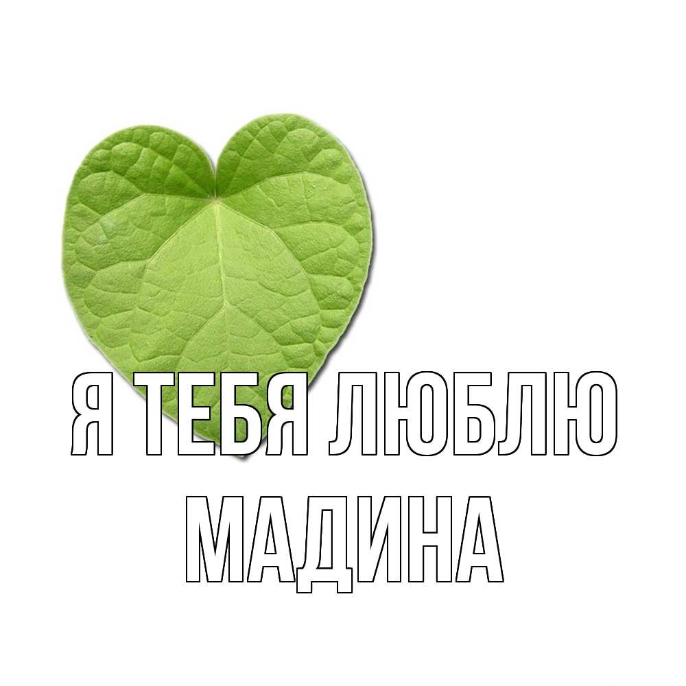 Открытка на каждый день с именем, Мадина Я тебя люблю тебе Прикольная открытка с пожеланием онлайн скачать бесплатно 