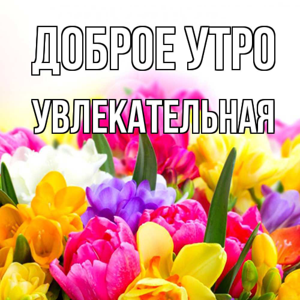 Открытка на каждый день с именем, Увлекательная Доброе утро создать открытку со свое подписью Прикольная открытка с пожеланием онлайн скачать бесплатно 