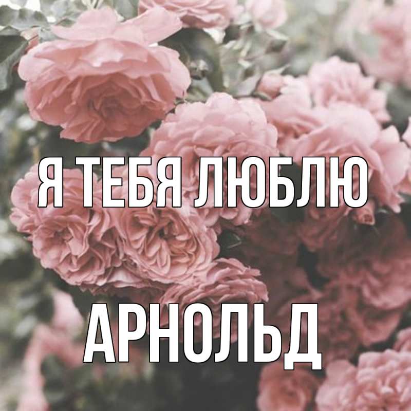Картинка Я тебя люблю, Арнольд