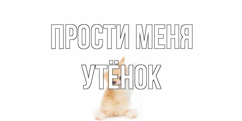 Открытка с именем, Утёнок, Прости меня