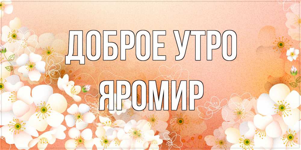 Открытка на каждый день с именем, Яромир Доброе утро доброе утро с цветами Прикольная открытка с пожеланием онлайн скачать бесплатно 