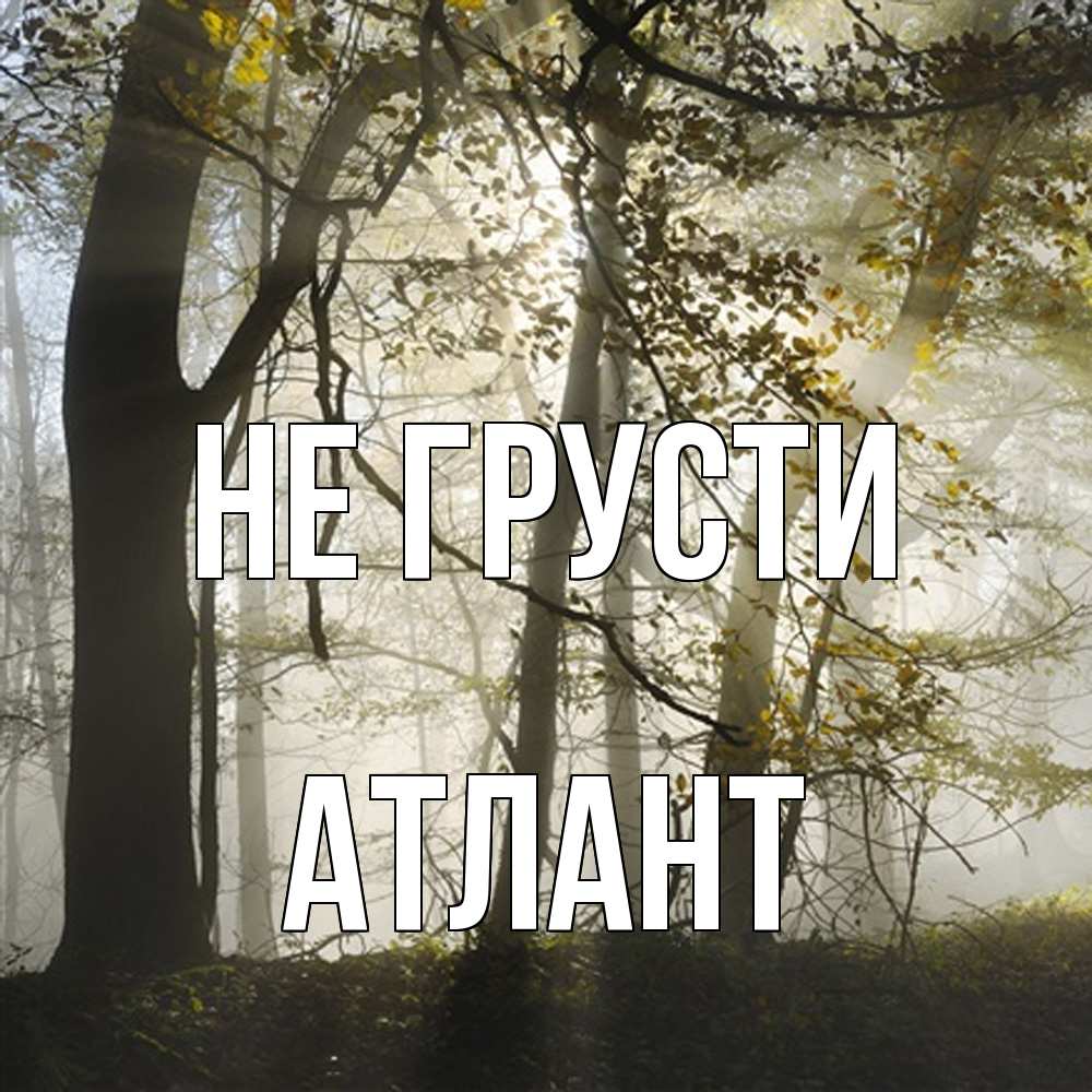 Открытка на каждый день с именем, Атлант Не грусти лес и свет Прикольная открытка с пожеланием онлайн скачать бесплатно 