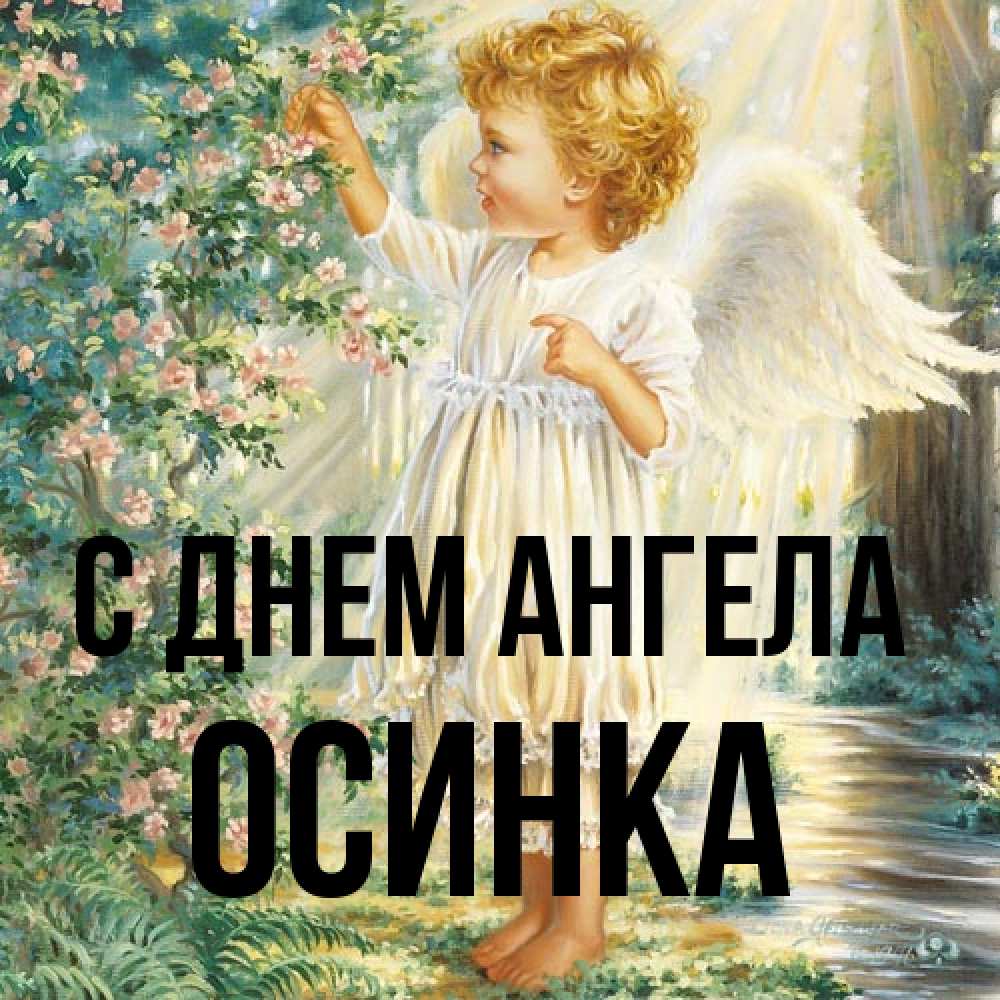 Открытка на каждый день с именем, осинка С днем ангела собирает цветы Прикольная открытка с пожеланием онлайн скачать бесплатно 