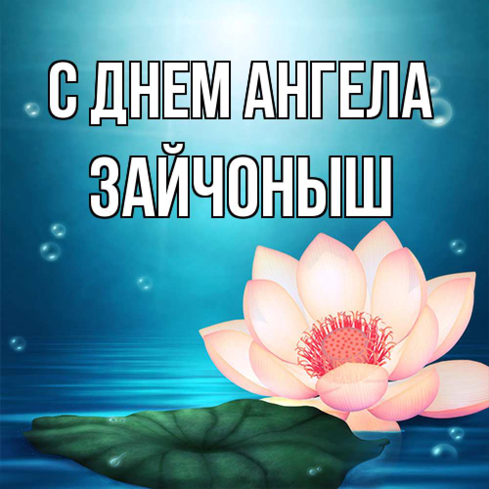 Открытка на каждый день с именем, зайчоныш С днем ангела кувшинка Прикольная открытка с пожеланием онлайн скачать бесплатно 