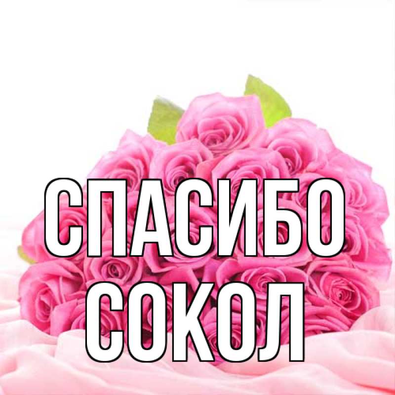 Открытка с именем, Сокол, Спасибо