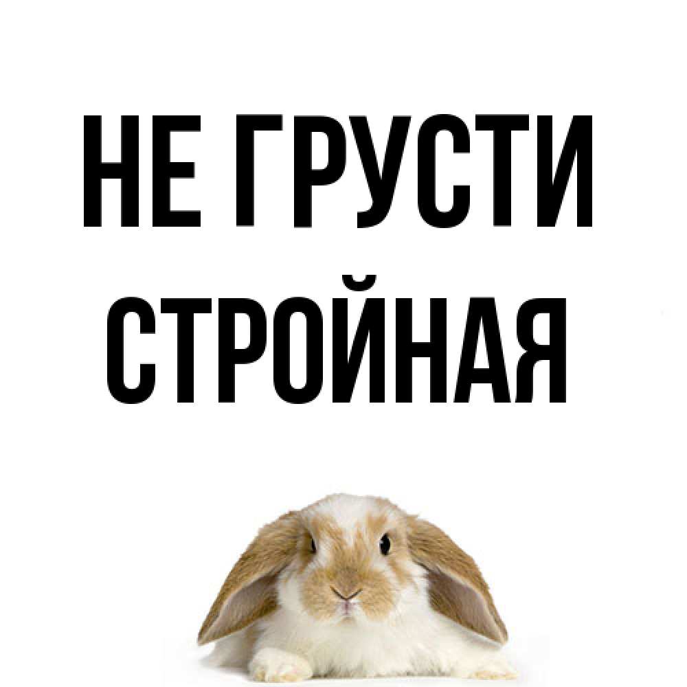 Открытка на каждый день с именем, Стpойная Не грусти коричнево белый заяц с большими ушками Прикольная открытка с пожеланием онлайн скачать бесплатно 