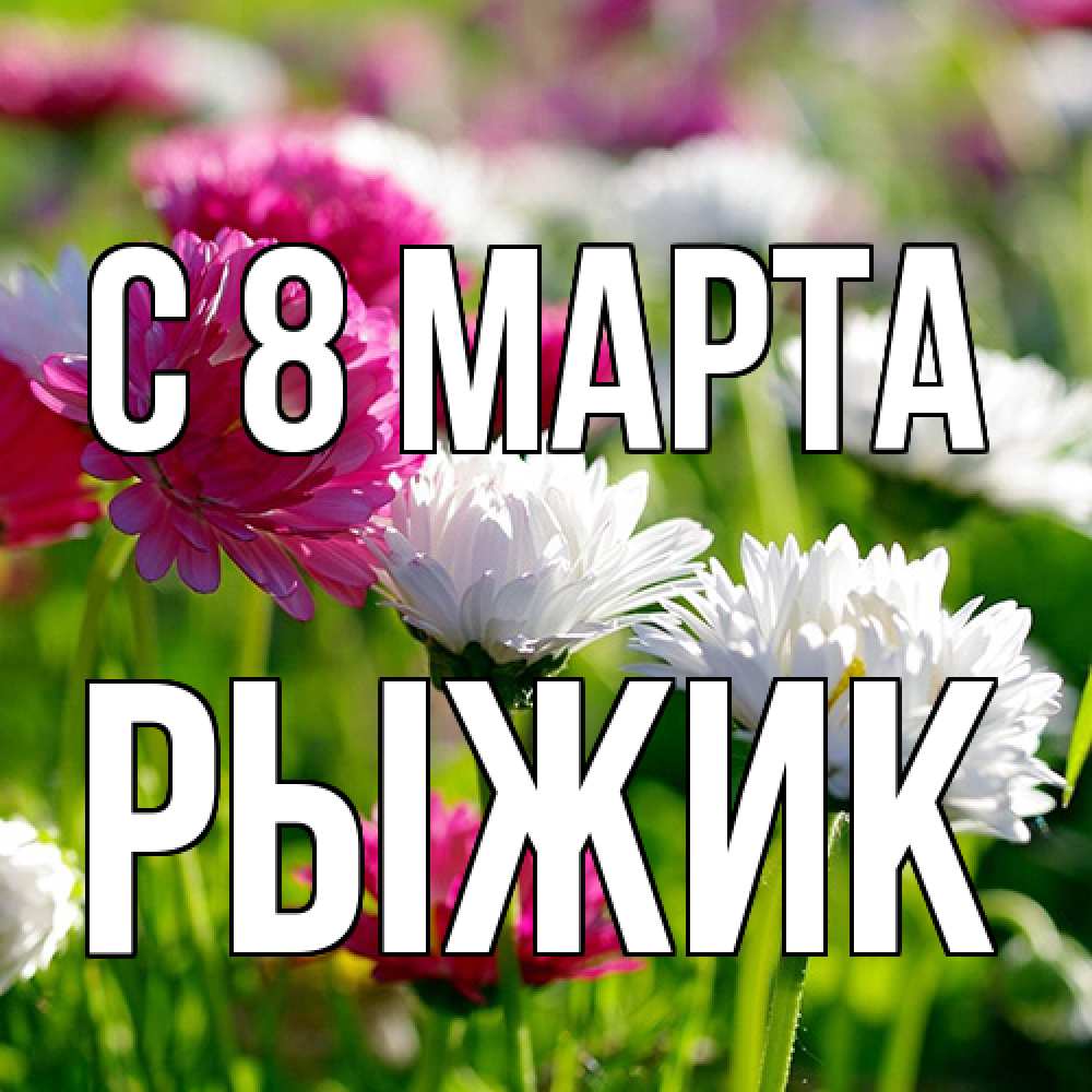 Открытка на каждый день с именем, рыжик C 8 МАРТА международный женский день 1 Прикольная открытка с пожеланием онлайн скачать бесплатно 