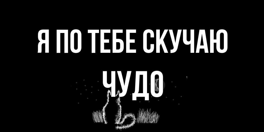 Открытка на каждый день с именем, Чудо Я по тебе скучаю кот Прикольная открытка с пожеланием онлайн скачать бесплатно 