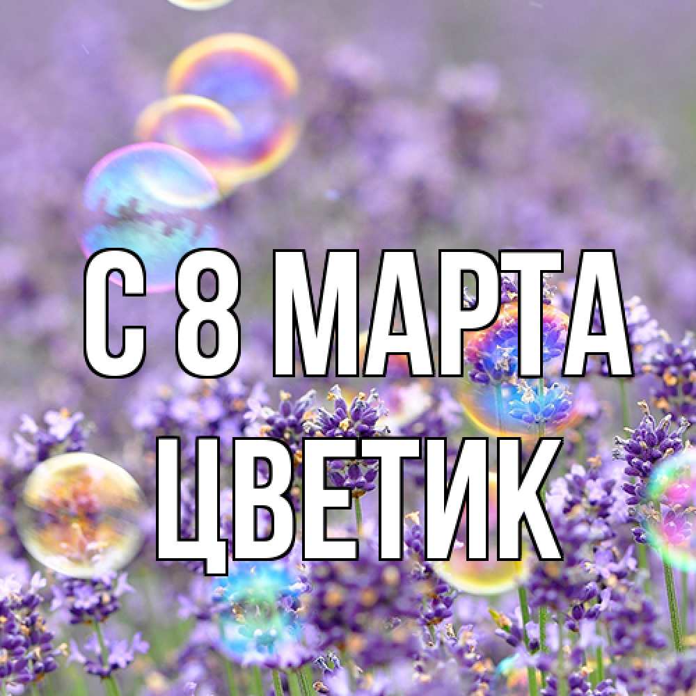Открытка на каждый день с именем, цветик C 8 МАРТА цветы Прикольная открытка с пожеланием онлайн скачать бесплатно 