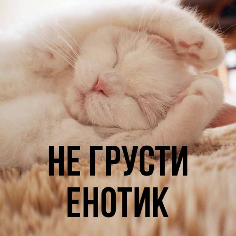 Картинка Не грусти, Енотик