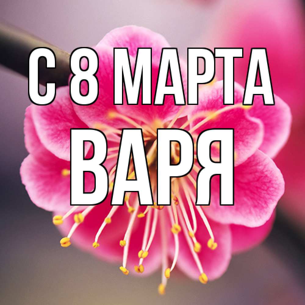 Открытка на каждый день с именем, Варя C 8 МАРТА цветы Прикольная открытка с пожеланием онлайн скачать бесплатно 