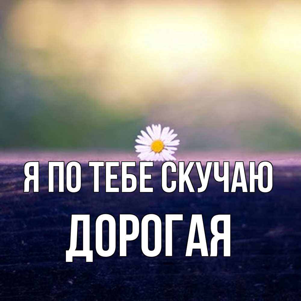 Открытка на каждый день с именем, Дорогая Я по тебе скучаю приходи в гости Прикольная открытка с пожеланием онлайн скачать бесплатно 
