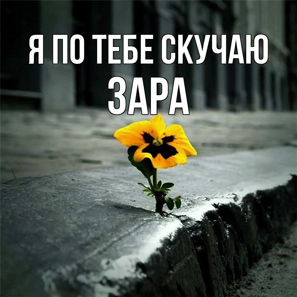 Открытка на каждый день с именем, Зара Я по тебе скучаю надеюсь будет лучше Прикольная открытка с пожеланием онлайн скачать бесплатно 