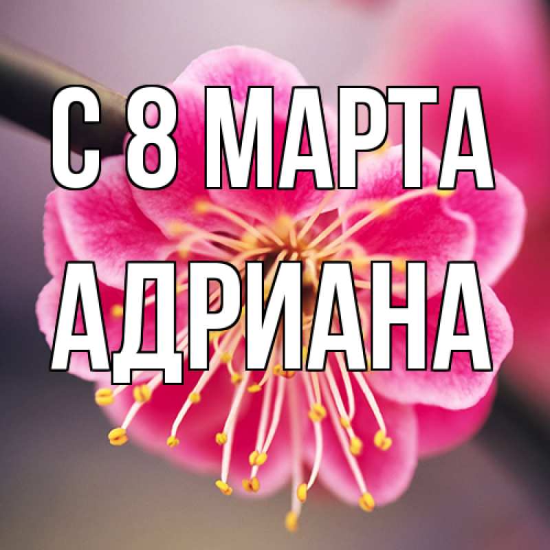 Картинка C 8 МАРТА, Адриана