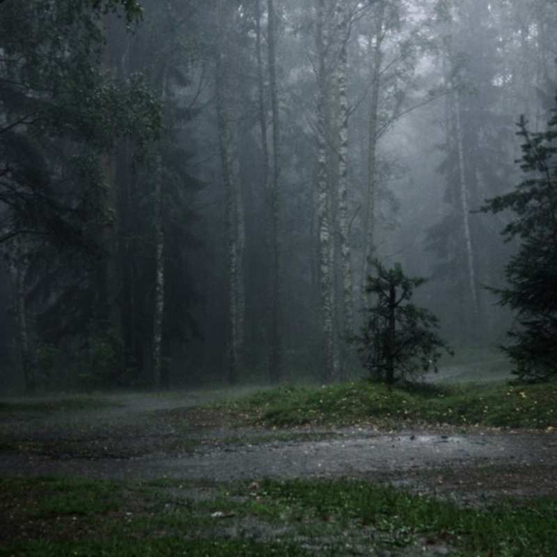 Картинка Не грусти, кровиночка