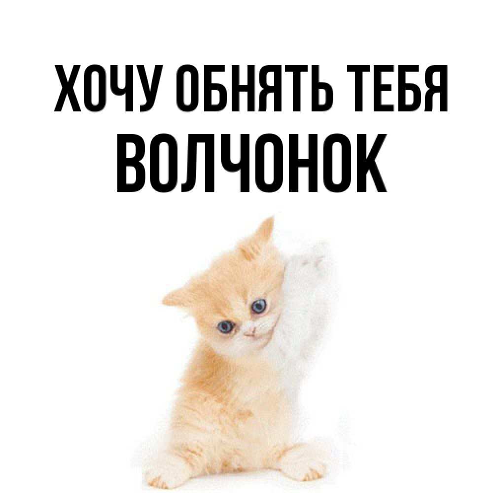 Открытка на каждый день с именем, Волчонок Хочу обнять тебя я хочу очень скорее обнимаешек Прикольная открытка с пожеланием онлайн скачать бесплатно 