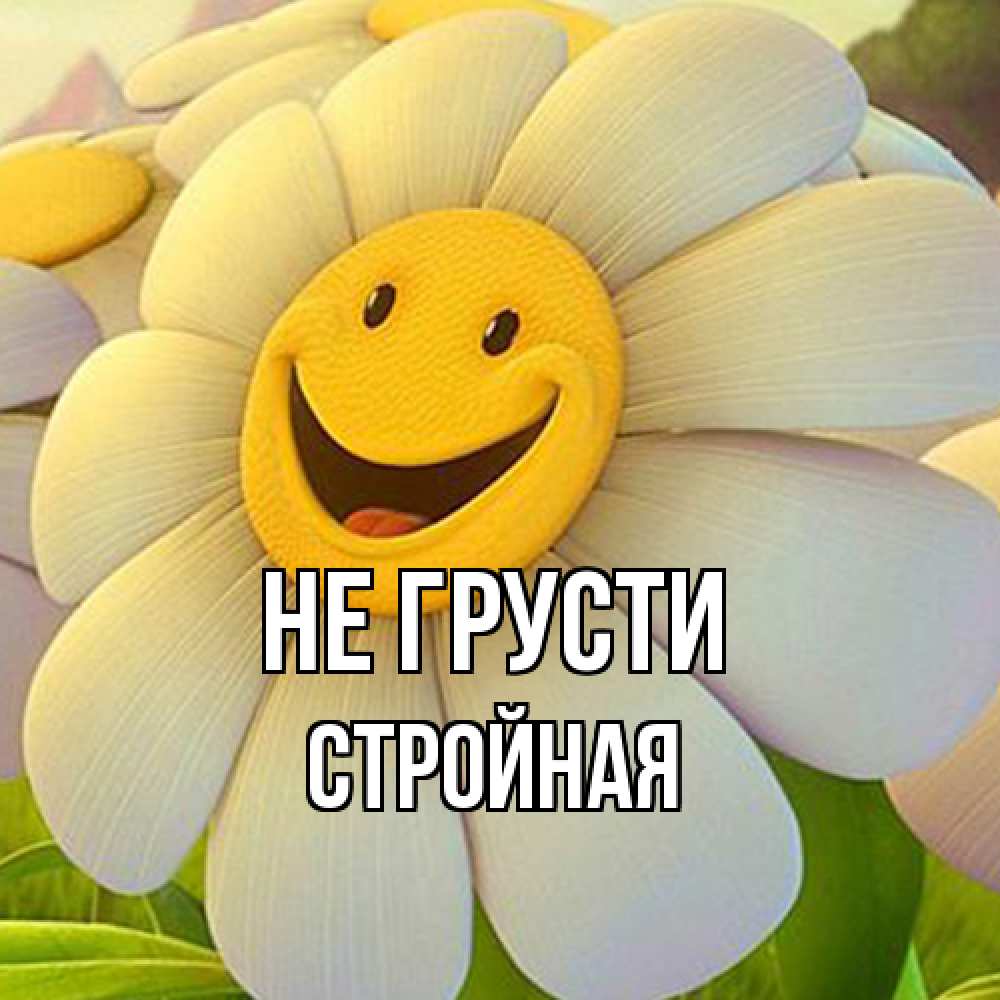Открытка на каждый день с именем, Стpойная Не грусти огромная улыбающаяся ромашуща Прикольная открытка с пожеланием онлайн скачать бесплатно 