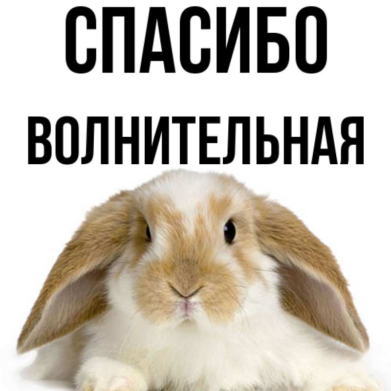 Картинка Спасибо, волнительная