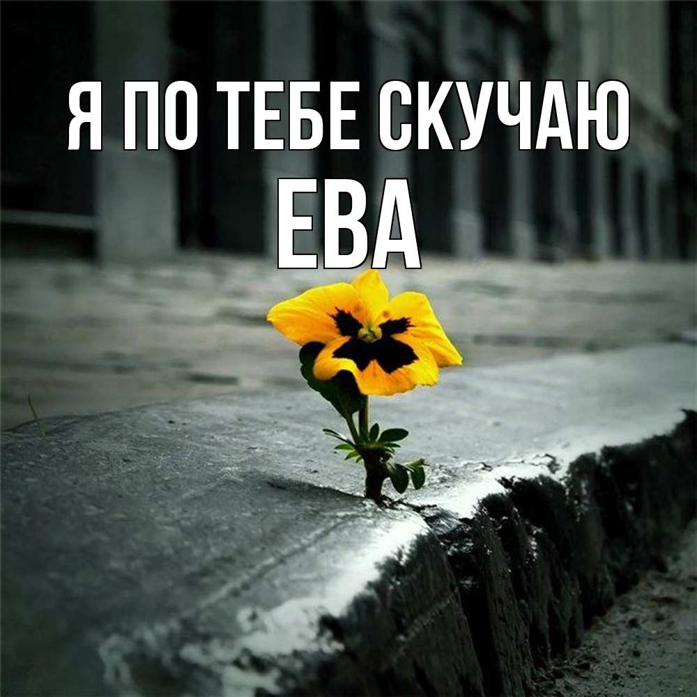 Открытка на каждый день с именем, Ева Я по тебе скучаю надеюсь будет лучше Прикольная открытка с пожеланием онлайн скачать бесплатно 