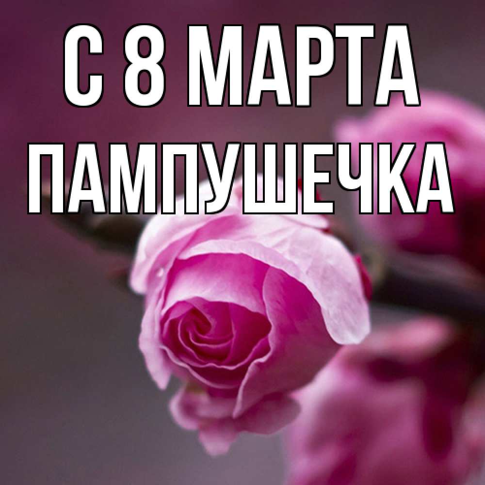 Открытка на каждый день с именем, пампушечка C 8 МАРТА весна Прикольная открытка с пожеланием онлайн скачать бесплатно 