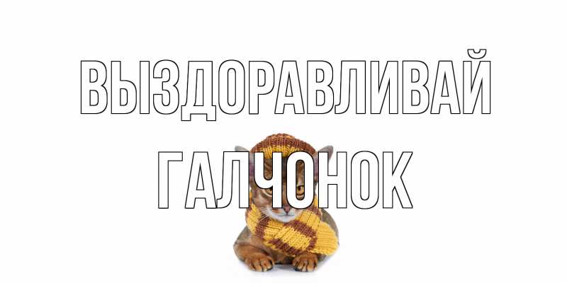 Картинка Выздоравливай, галчонок