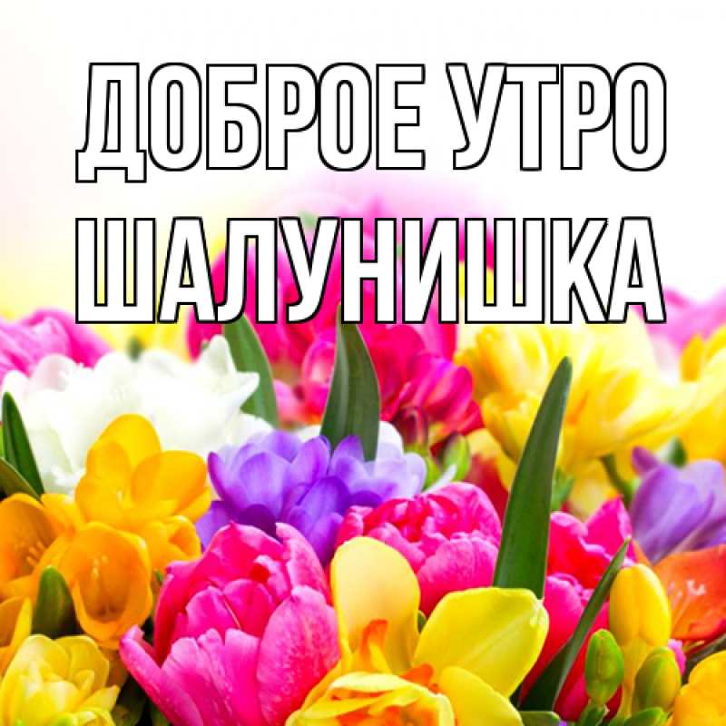 Картинка Доброе утро, шалунишка